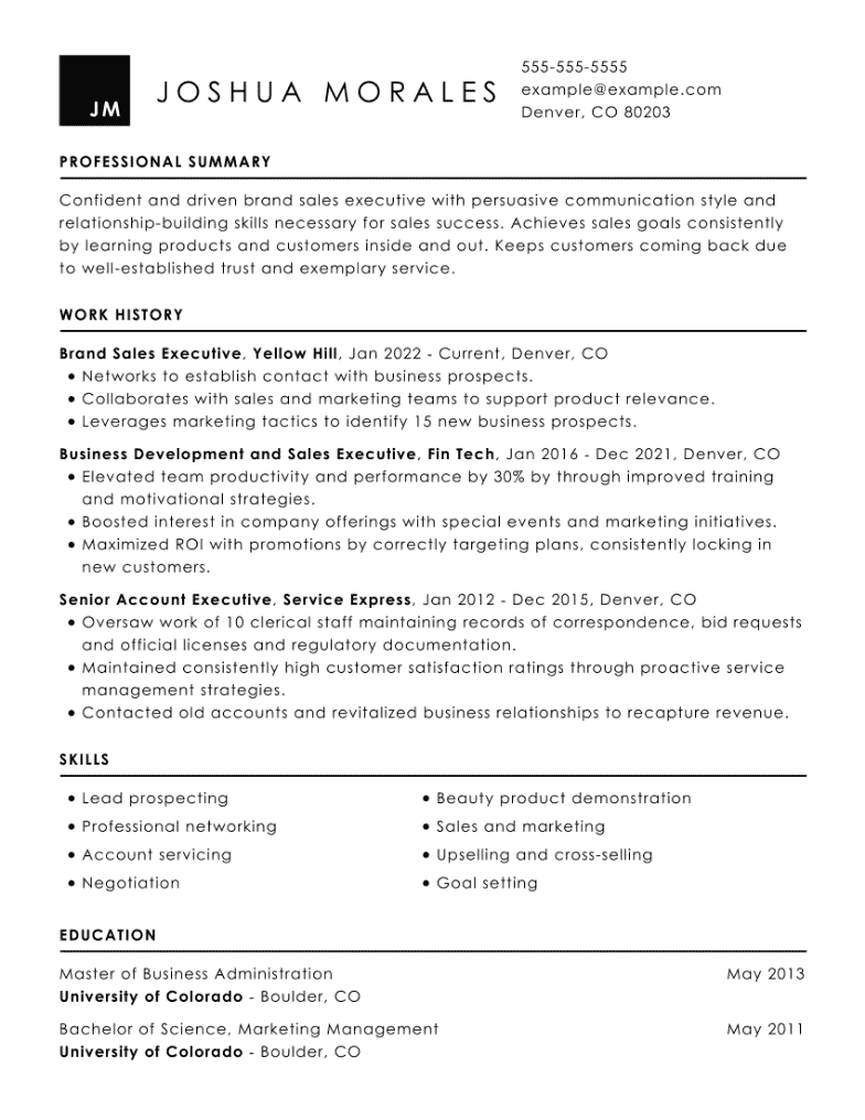 Executive CV Examples Writing Tips For 2024